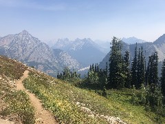 Maple Heather Trail, WA